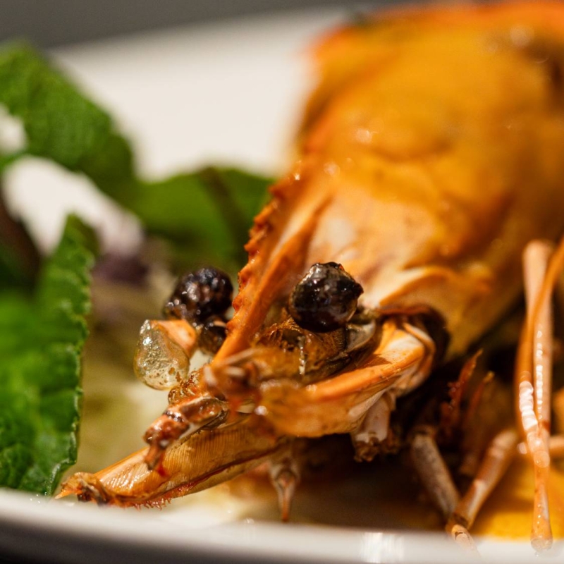 My Pumpui - restaurant LEVALLOIS-PERRET